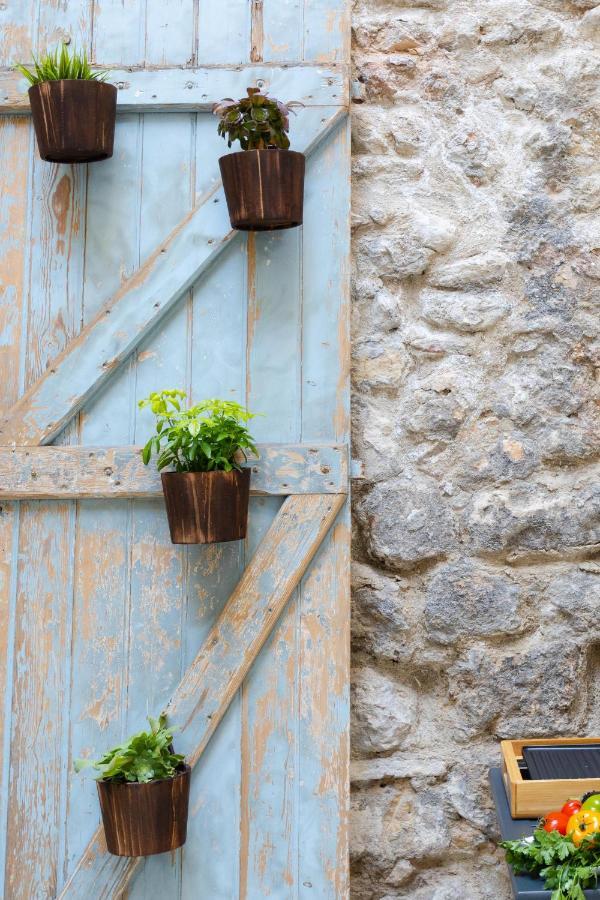 Jardin Secret Studio Terrasse Panier Vieux-Port Marseille Kültér fotó